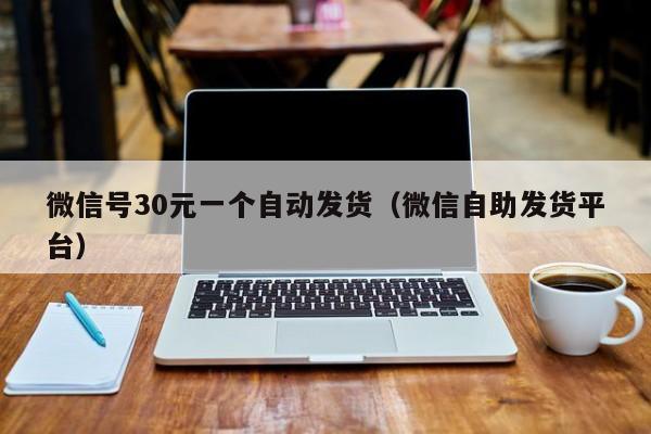 微信号30元一个自动发货（微信自助发货平台）