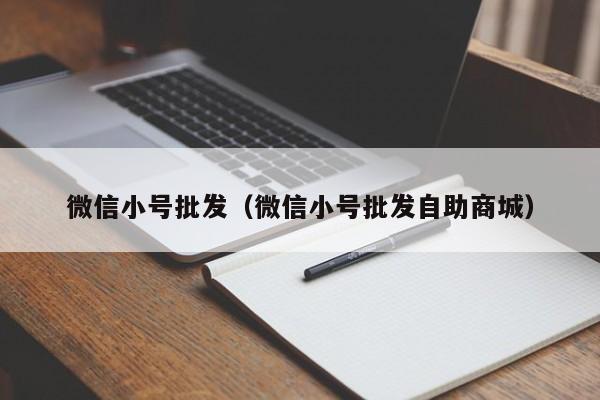 微信小号批发（微信小号批发自助商城）